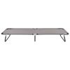 vidaXL Folding Sun Lounger Gray Steel