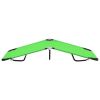vidaXL Folding Sun Lounger Steel Green
